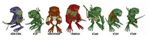 Grung characters 5e.jpg