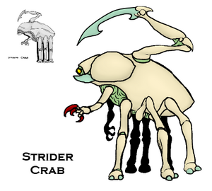 Strider Crab.png