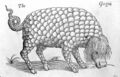 An illustration from The Historie of Foure-Footed Beastes.