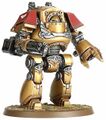 Venerable Contemptor