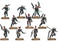 A squad of Dark Eldar Wyches.