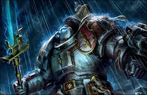 Grey Knight in Rain.jpg