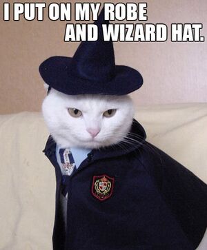 Wizard.jpg